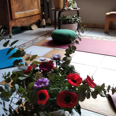 Panzió La Des Fleurs